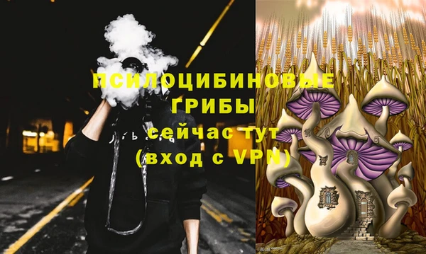 PSILOCYBIN Арсеньев