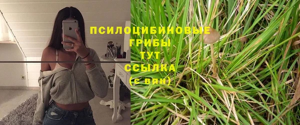гидра Алзамай
