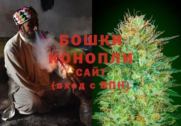 гидра Аркадак