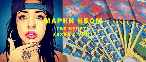 гидра Аркадак