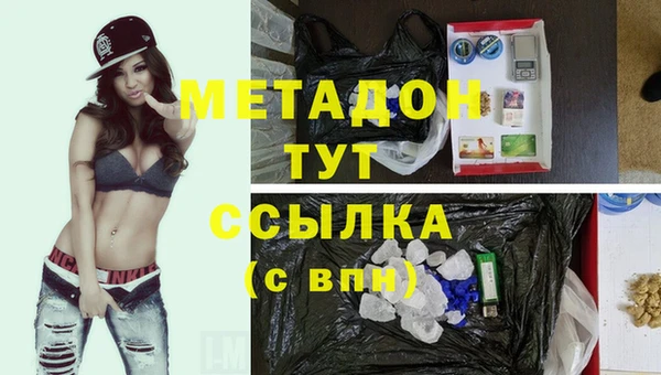 гидра Аркадак