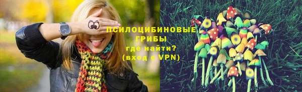 гидра Аркадак