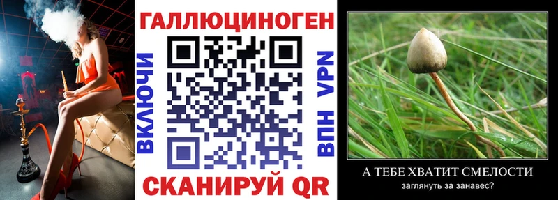KRAKEN ТОР  где продают   Могоча  Галлюциногенные грибы Magic Shrooms 